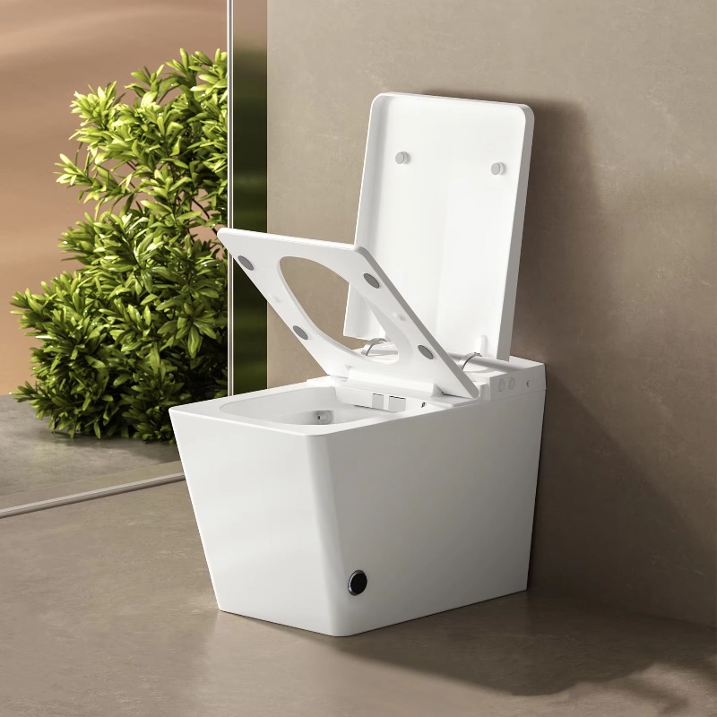 Toilet Pintar Smart Wc Toilet  - P & C Home Textiles Usa ulasan dan harga
