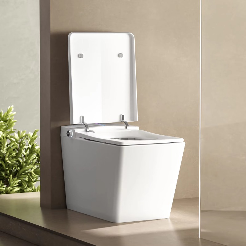 Toilet Pintar Smart Wc Toilet  - P & C Home Textiles Usa ulasan dan harga